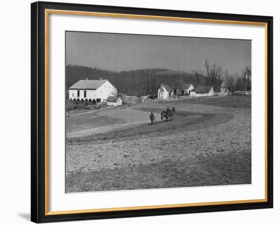 Farmer Plowing Field at "Shadwell", Birthplace of Thomas Jefferson-Alfred Eisenstaedt-Framed Photographic Print