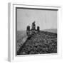 Farmer Plowing with a Tractor on an Iowa Farm-Gordon Parks-Framed Photographic Print