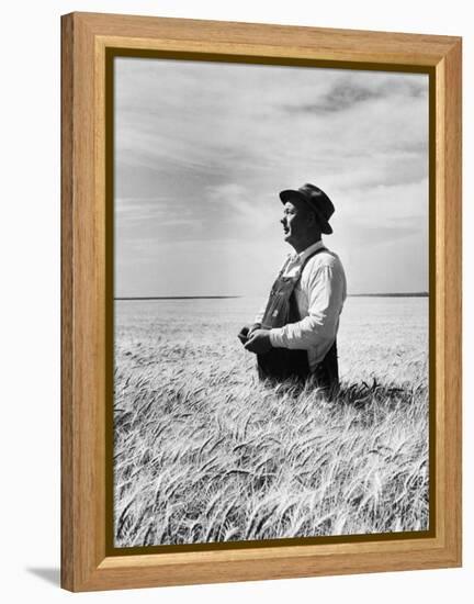 Farmer Posing in His Wheat Field-Ed Clark-Framed Premier Image Canvas