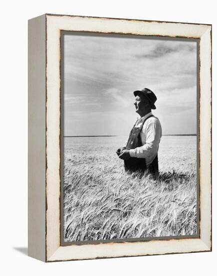 Farmer Posing in His Wheat Field-Ed Clark-Framed Premier Image Canvas