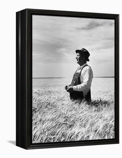 Farmer Posing in His Wheat Field-Ed Clark-Framed Premier Image Canvas