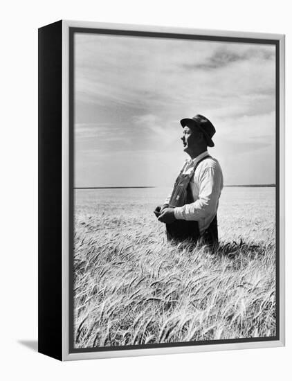 Farmer Posing in His Wheat Field-Ed Clark-Framed Premier Image Canvas