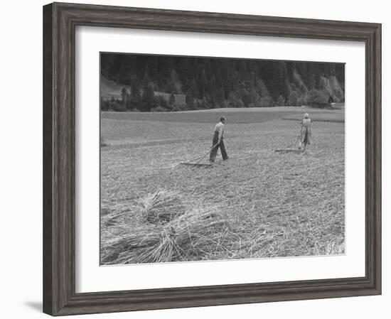 Farmer Raking His Field after Wheat Harvest-null-Framed Photographic Print