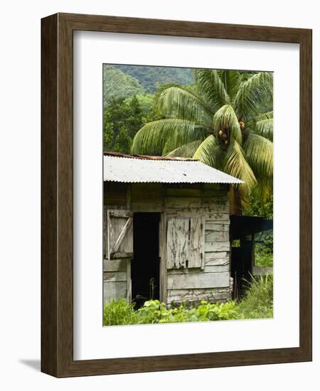 Farmer's Home on a Pineapple Farm, White River, Delices, Dominica, Windward Islands, West Indies, C-Kim Walker-Framed Photographic Print