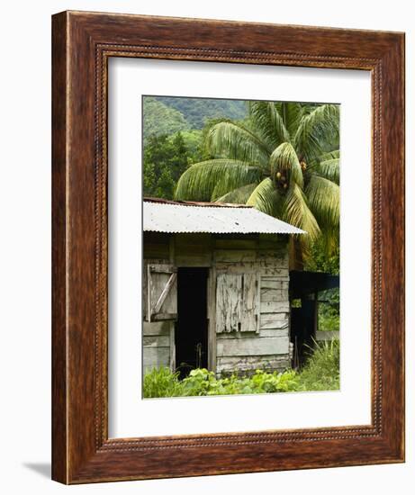 Farmer's Home on a Pineapple Farm, White River, Delices, Dominica, Windward Islands, West Indies, C-Kim Walker-Framed Photographic Print