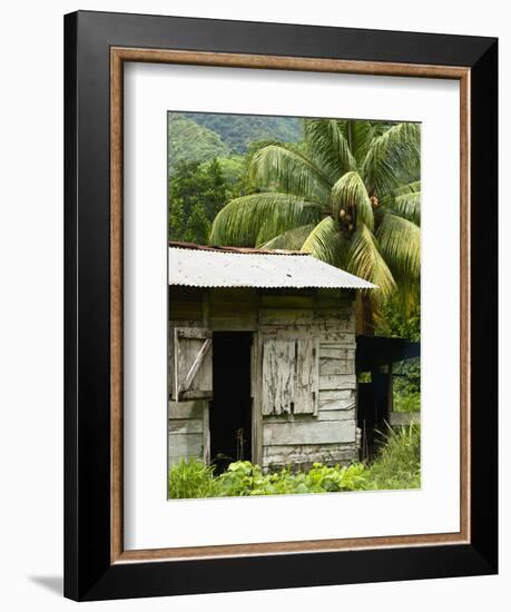 Farmer's Home on a Pineapple Farm, White River, Delices, Dominica, Windward Islands, West Indies, C-Kim Walker-Framed Photographic Print