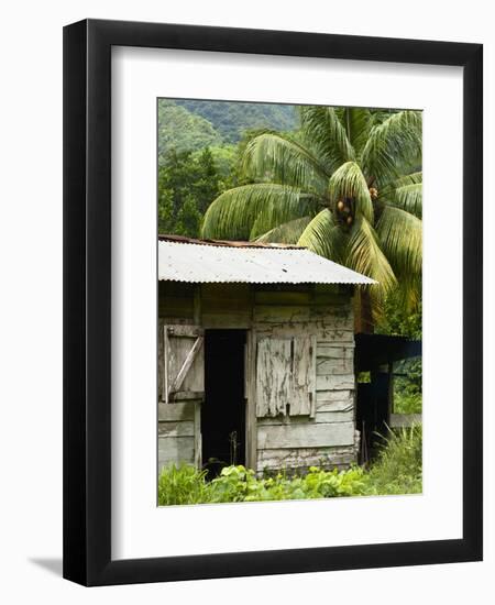 Farmer's Home on a Pineapple Farm, White River, Delices, Dominica, Windward Islands, West Indies, C-Kim Walker-Framed Photographic Print
