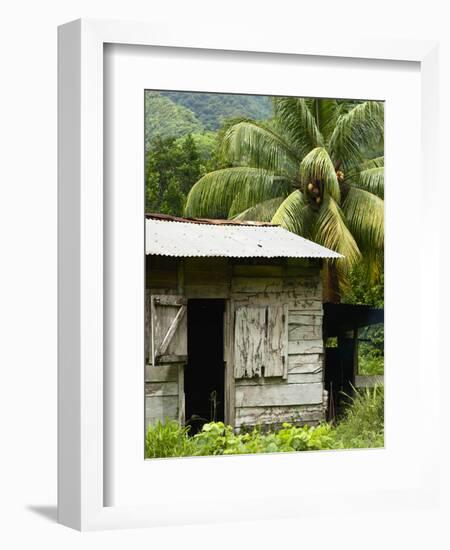 Farmer's Home on a Pineapple Farm, White River, Delices, Dominica, Windward Islands, West Indies, C-Kim Walker-Framed Photographic Print