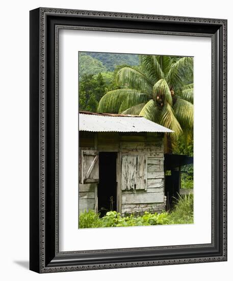 Farmer's Home on a Pineapple Farm, White River, Delices, Dominica, Windward Islands, West Indies, C-Kim Walker-Framed Photographic Print