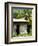 Farmer's Home on a Pineapple Farm, White River, Delices, Dominica, Windward Islands, West Indies, C-Kim Walker-Framed Photographic Print