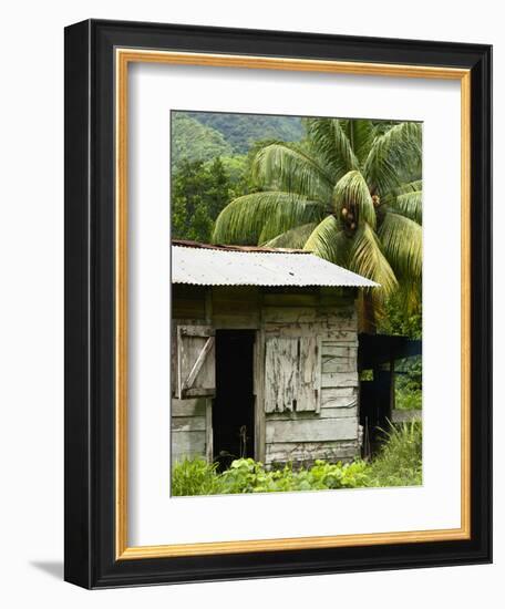 Farmer's Home on a Pineapple Farm, White River, Delices, Dominica, Windward Islands, West Indies, C-Kim Walker-Framed Photographic Print