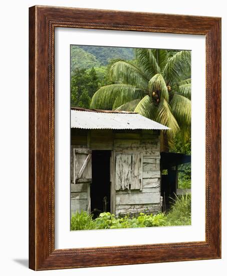 Farmer's Home on a Pineapple Farm, White River, Delices, Dominica, Windward Islands, West Indies, C-Kim Walker-Framed Photographic Print