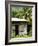 Farmer's Home on a Pineapple Farm, White River, Delices, Dominica, Windward Islands, West Indies, C-Kim Walker-Framed Photographic Print