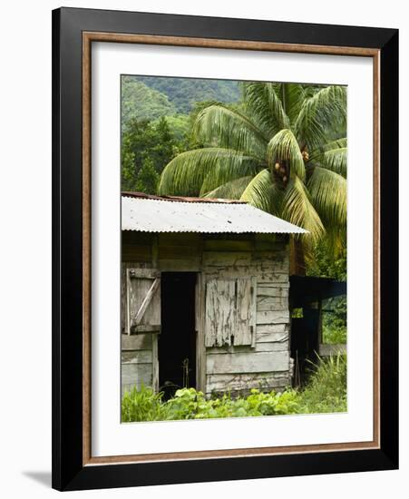 Farmer's Home on a Pineapple Farm, White River, Delices, Dominica, Windward Islands, West Indies, C-Kim Walker-Framed Photographic Print