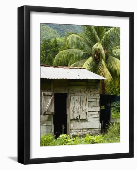 Farmer's Home on a Pineapple Farm, White River, Delices, Dominica, Windward Islands, West Indies, C-Kim Walker-Framed Photographic Print