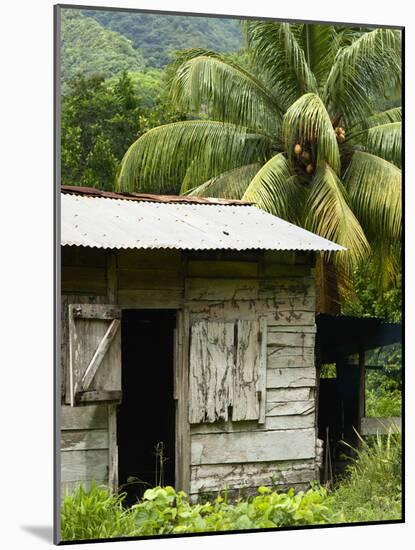 Farmer's Home on a Pineapple Farm, White River, Delices, Dominica, Windward Islands, West Indies, C-Kim Walker-Mounted Photographic Print