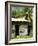 Farmer's Home on a Pineapple Farm, White River, Delices, Dominica, Windward Islands, West Indies, C-Kim Walker-Framed Photographic Print