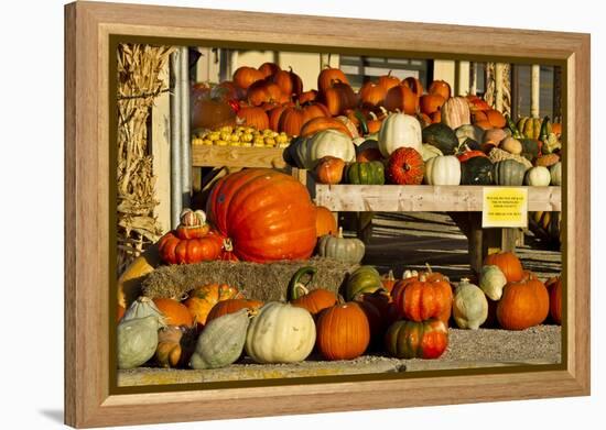 Farmer's Market, Autumn in Luling, Texas, USA-Larry Ditto-Framed Premier Image Canvas