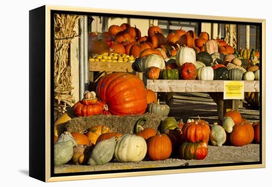 Farmer's Market, Autumn in Luling, Texas, USA-Larry Ditto-Framed Premier Image Canvas