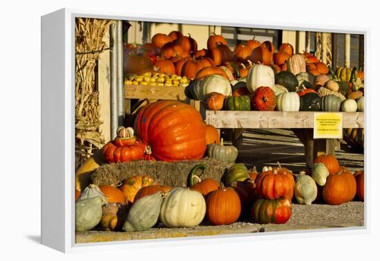 Farmer's Market, Autumn in Luling, Texas, USA-Larry Ditto-Framed Premier Image Canvas