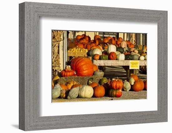 Farmer's Market, Autumn in Luling, Texas, USA-Larry Ditto-Framed Photographic Print