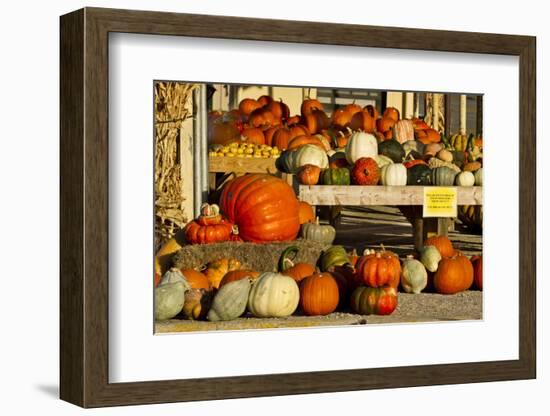 Farmer's Market, Autumn in Luling, Texas, USA-Larry Ditto-Framed Photographic Print