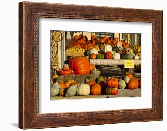 Farmer's Market, Autumn in Luling, Texas, USA-Larry Ditto-Framed Photographic Print