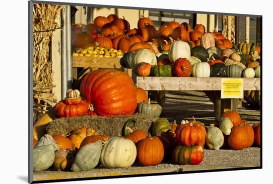 Farmer's Market, Autumn in Luling, Texas, USA-Larry Ditto-Mounted Photographic Print