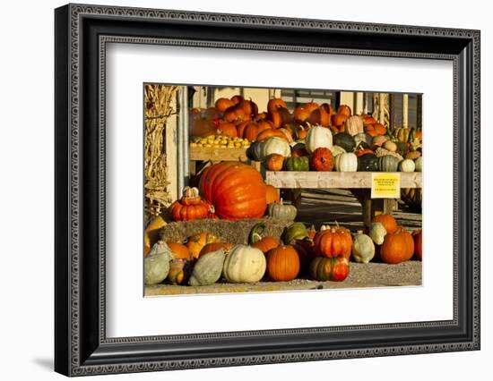 Farmer's Market, Autumn in Luling, Texas, USA-Larry Ditto-Framed Photographic Print