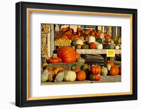 Farmer's Market, Autumn in Luling, Texas, USA-Larry Ditto-Framed Photographic Print