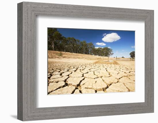 Farmer's watering hole almost dried up during drought 1996-2011, Victoria, Australia. February 2010-Ashley Cooper-Framed Photographic Print