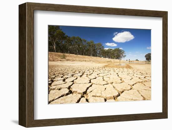 Farmer's watering hole almost dried up during drought 1996-2011, Victoria, Australia. February 2010-Ashley Cooper-Framed Photographic Print