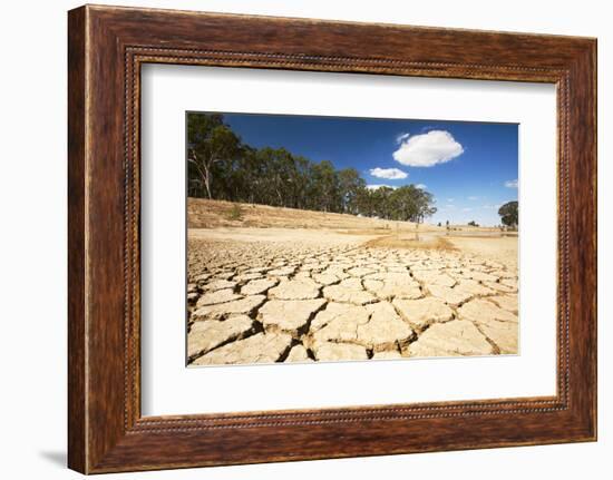 Farmer's watering hole almost dried up during drought 1996-2011, Victoria, Australia. February 2010-Ashley Cooper-Framed Photographic Print
