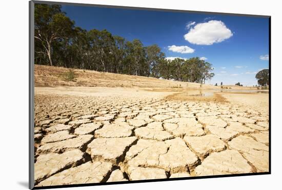 Farmer's watering hole almost dried up during drought 1996-2011, Victoria, Australia. February 2010-Ashley Cooper-Mounted Photographic Print