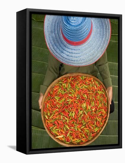 Farmer Selling Chilies, Isan region, Thailand-Gavriel Jecan-Framed Premier Image Canvas