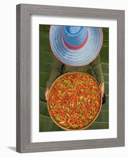 Farmer Selling Chilies, Isan region, Thailand-Gavriel Jecan-Framed Photographic Print