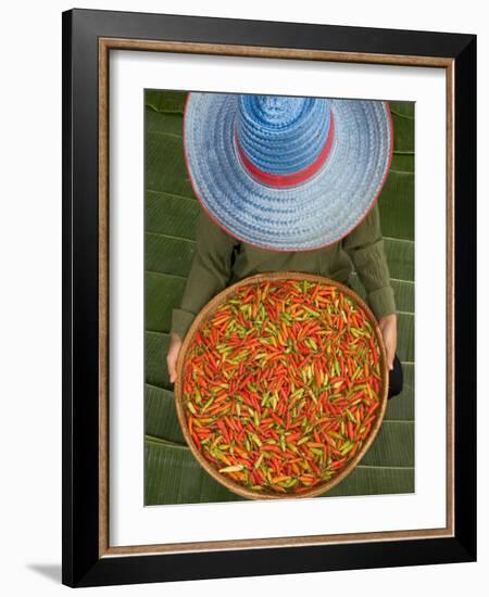 Farmer Selling Chilies, Isan region, Thailand-Gavriel Jecan-Framed Photographic Print