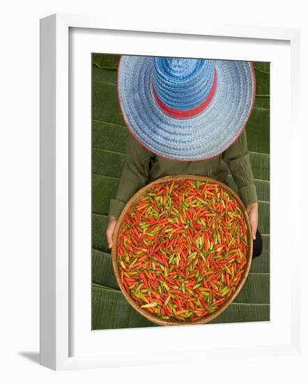 Farmer Selling Chilies, Isan region, Thailand-Gavriel Jecan-Framed Photographic Print