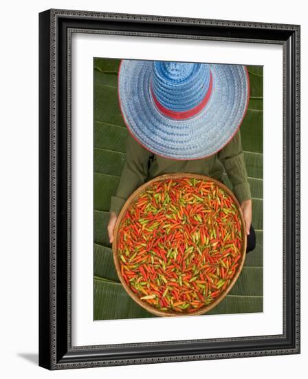 Farmer Selling Chilies, Isan region, Thailand-Gavriel Jecan-Framed Photographic Print