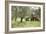 Farmer Spreading Manure In An Olive Grove-Bjorn Svensson-Framed Photographic Print