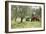 Farmer Spreading Manure In An Olive Grove-Bjorn Svensson-Framed Photographic Print