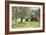 Farmer Spreading Manure In An Olive Grove-Bjorn Svensson-Framed Photographic Print