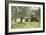 Farmer Spreading Manure In An Olive Grove-Bjorn Svensson-Framed Photographic Print