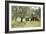 Farmer Spreading Manure In An Olive Grove-Bjorn Svensson-Framed Photographic Print