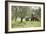 Farmer Spreading Manure In An Olive Grove-Bjorn Svensson-Framed Photographic Print