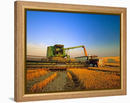 Farmer Unloading Wheat from Combine Near Colfax, Washington, USA-Chuck Haney-Framed Premier Image Canvas