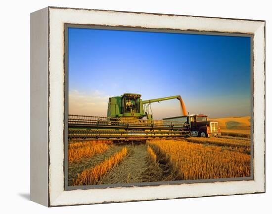 Farmer Unloading Wheat from Combine Near Colfax, Washington, USA-Chuck Haney-Framed Premier Image Canvas