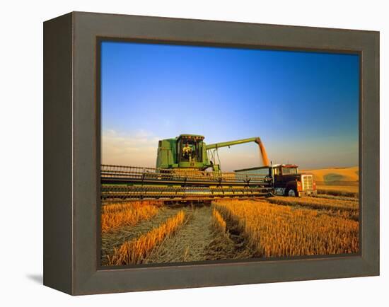 Farmer Unloading Wheat from Combine Near Colfax, Washington, USA-Chuck Haney-Framed Premier Image Canvas