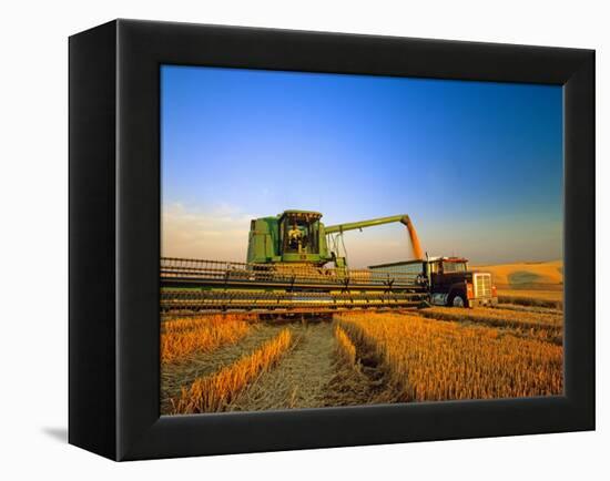 Farmer Unloading Wheat from Combine Near Colfax, Washington, USA-Chuck Haney-Framed Premier Image Canvas