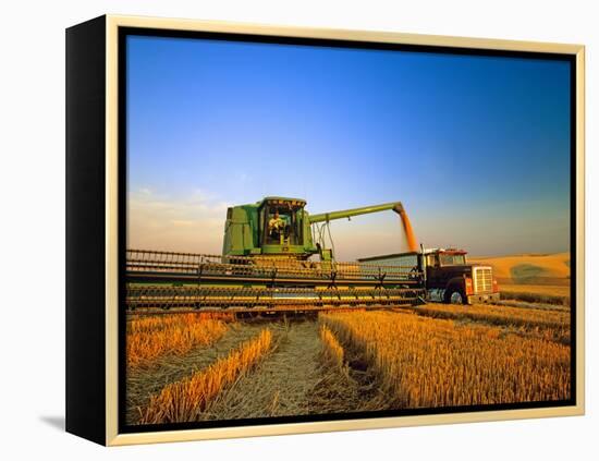 Farmer Unloading Wheat from Combine Near Colfax, Washington, USA-Chuck Haney-Framed Premier Image Canvas